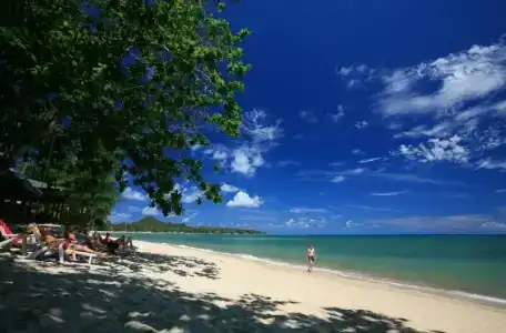 Sand Sea Resort & Spa - Lamai Beach , Koh Samui - 5