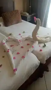 Jaz Mirabel Resort - 56