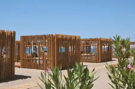 Paloma Finesse Side - 29