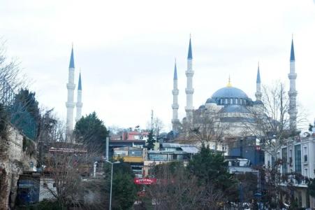 Erguvan - Special Category - 69