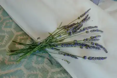 Boutique & Spa Casa del Mare - Mediterraneo - 31