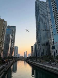 Corniche Sharjah - 73