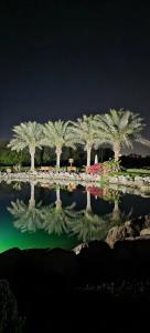 JA Lake View, Dubai - 21