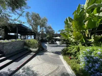 Unique Life Style - 95