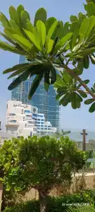Amwaj Rotana, Jumeirah Beach - Dubai - 18