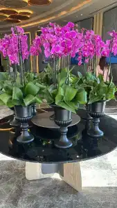 Titanic Luxury Collection Bodrum - 48