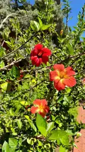 Suncity - Beach Club - 29