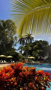 Siam Bayshore Pattaya - SHA Plus Certified - 60