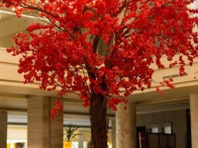 Amarina Abu Soma Resort & Aquapark - 73