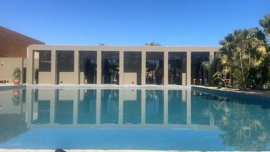 Casa Cook El Gouna - Adults Only - 11