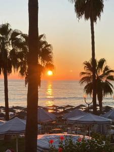 Kolibri - All Inclusive - 40