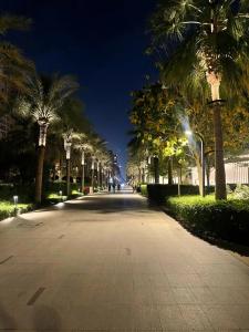 Adagio Premium The Palm - 18