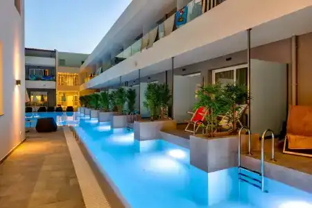 White Olive Premium Laganas - 72