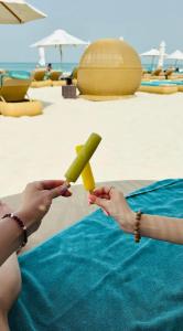 The St. Regis Saadiyat Island Resort, Abu Dhabi - 84