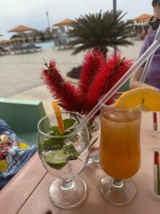 Pickalbatros Aqua Park Sharm El Sheikh - 47