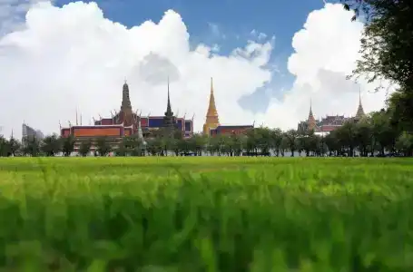 OYO 484 Pannee Residence Khaosan SHA Plus - 6