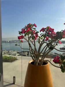 Hyatt Centric Jumeirah - 23