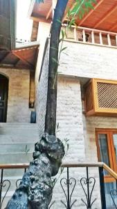 Zeynep Hanim Konagi - 19