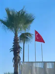 Selectum For Two Side - 55