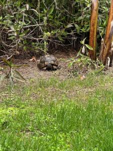 Maxx Royal Belek Golf Resort - 34