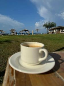 Selectum Family Comfort Side - 50