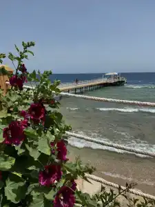 Sunrise Diamond Beach Resort -Grand Select - 53