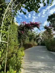 Selectum Luxury Door'a Bodrum - 6