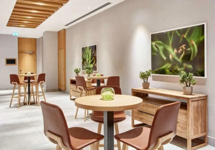 Hilton Garden Inn Dubai Mall Of The Emirates - 43