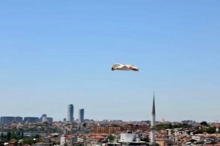 Istanbul Royal - 49