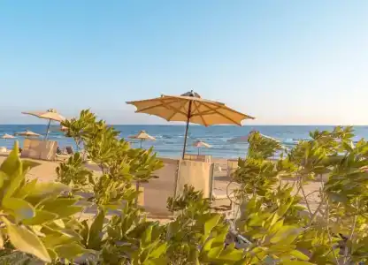 Serenity Alpha Beach - Ex Serenity Makadi Beach - 39