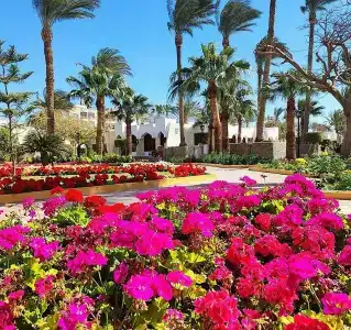 ZYA Regina Resort and Aqua Park Hurghada - 58