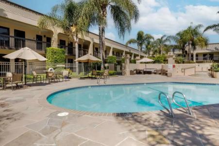 Best Western Plus South Coast Inn - 94