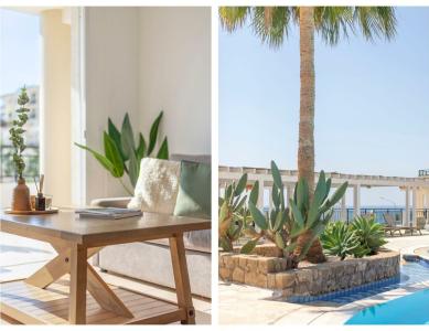 Cyprotel Florida - 75