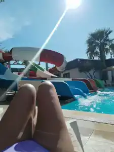 Bitez Garden Life - 33