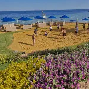 Pickalbatros Royal Grand Sharm - Adults Friendly 16 Years Plus - 33