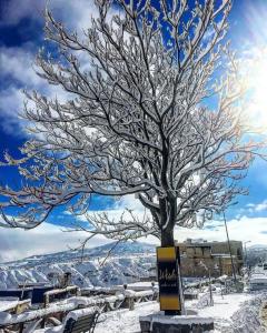 Wish Cappadocia - 28