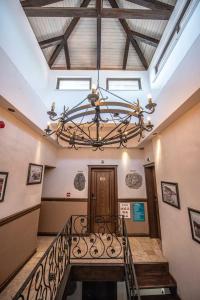 Assos Behram Special Class Adult Only 12 - 37