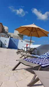 Golden Tulip Al Barsha - 8