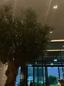 Revier Dubai - 90