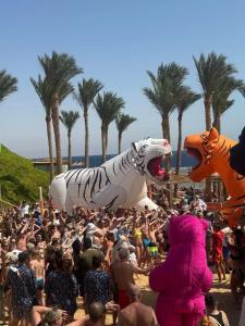 Nubian Village, Families and Couples only - 63