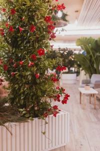 Sentido Michelizia Tropea Resort - 16