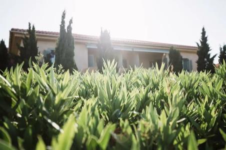 Emelisse Nature Resort - 15