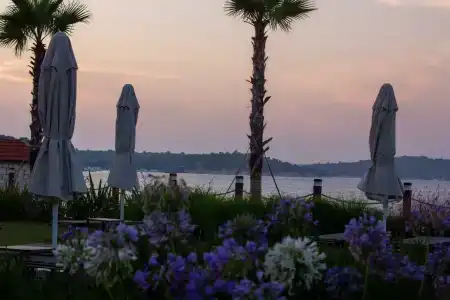 Reges, a Luxury Collection Resort & Spa, Cesme - 3