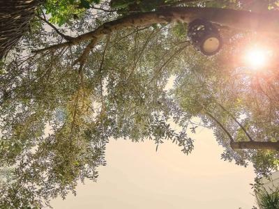 Vintage Alacati - 25