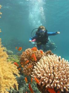 Swiss Inn Resort Dahab - 21