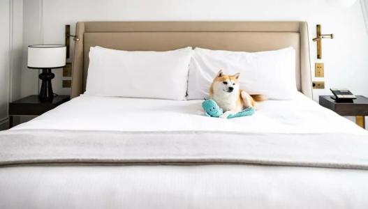 Kimpton - St Honoré Paris, an IHG - 15