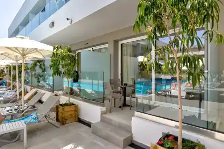 White Olive Premium Laganas - 24