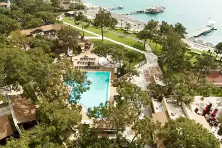 ROBINSON CAMYUVA - Adults only - 74