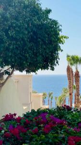 Grand Rotana Resort & Spa - 67