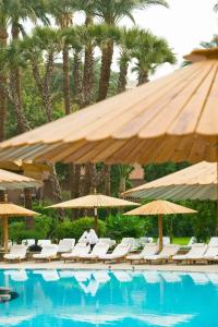 Pavillon Winter Luxor - 86